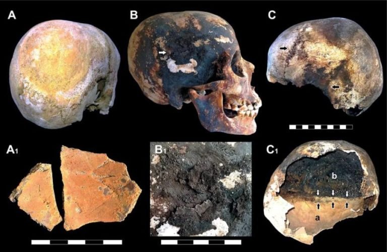 Skeletal remains from the chambers with red and black reside on them. PLoS ONE