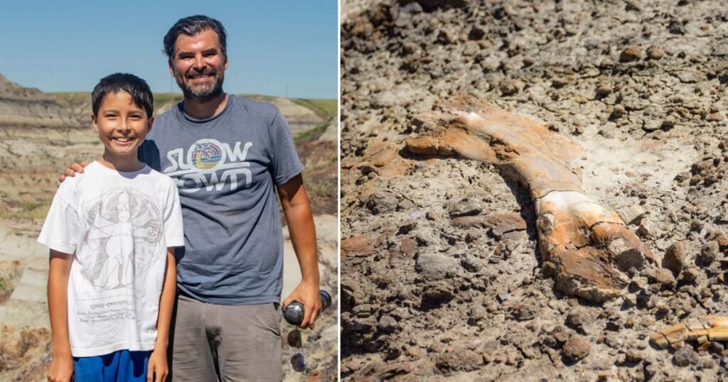 12 year old boy discovers 69 million year old dinosaur fossils