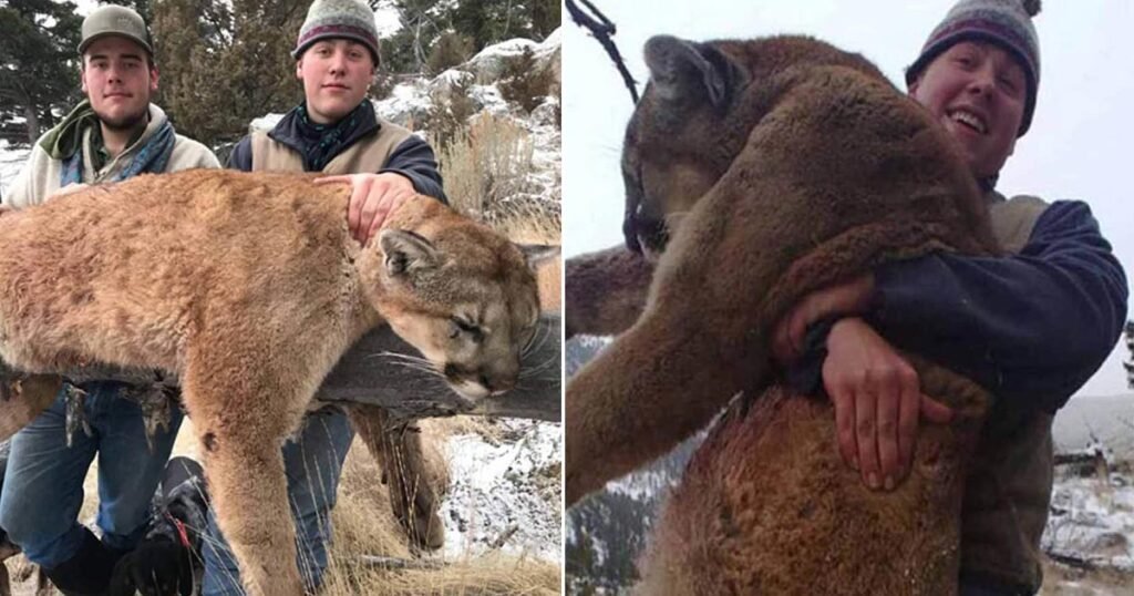 Hunters Illegally Killed Mountain Lion In Protected Area, Arrested After Bragging About It On Facebook