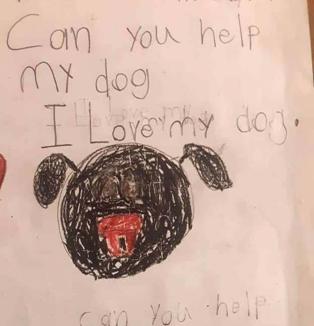 An 8-Year-Old Boy Sold His Pokémon Cards to Pay for His Sick Dog's $700 Treatment 