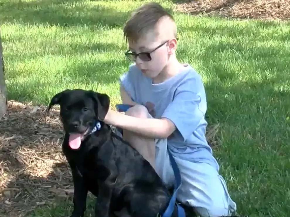 An 8-Year-Old Boy Sold His Pokémon Cards to Pay for His Sick Dog's $700 Treatment 