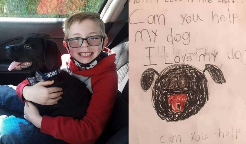 boy sold pokemon cards to pay his dogs vet's bill