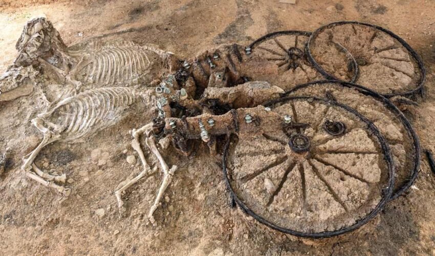 12 Archaeological Findings that Left Us Amazed