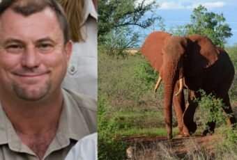 South African Big Game Hunter Dies After Shot Elephant Fell on Him