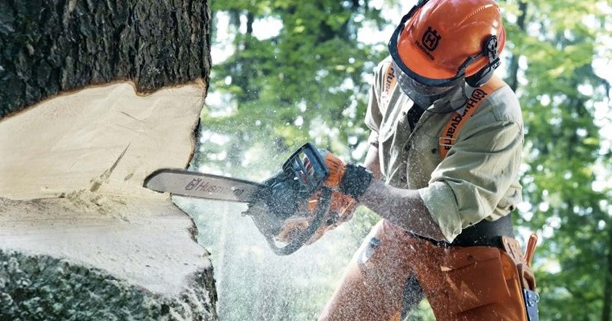 Chainsaw Were Originally Invented to Assist in Childbirth, Not to Cut Trees