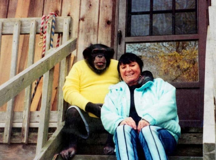 Travis the 10-year-old chimpanzee picture with his owner Sandra Herold in 2002.