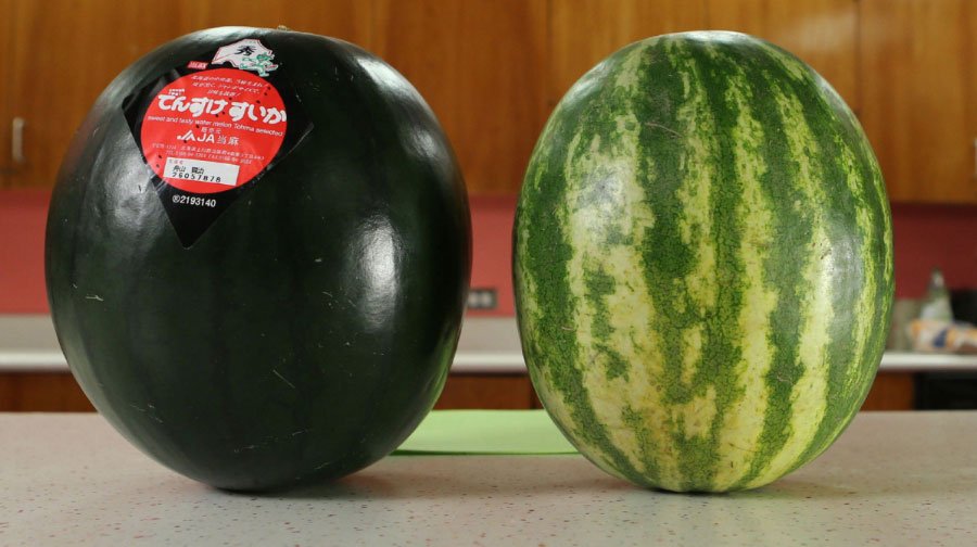8. Black Watermelon